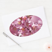 Sticker Ovale Sakura Cherry Blossoms embrassés par Sunlight (Enveloppe)