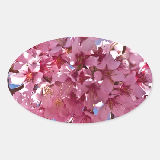 Sticker Ovale Sakura Cherry Blossoms Red Stars (Devant)