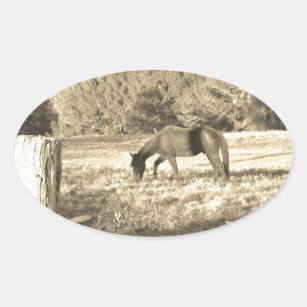 Sticker Ovale Sepia ton cheval Brown et clôture