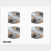 Sticker Ovale Shetland Sheepdog Blue Merle Eyes (Feuille)