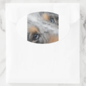 Sticker Ovale Shetland Sheepdog Blue Merle Eyes (Sac)