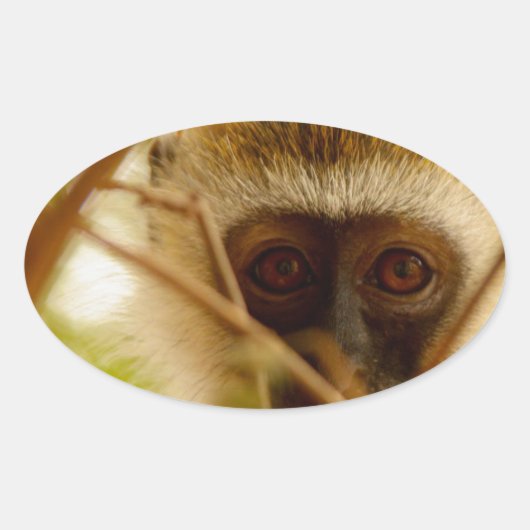 Sticker Ovale Singe effronté. (Devant)