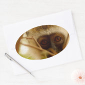 Sticker Ovale Singe effronté. (Enveloppe)