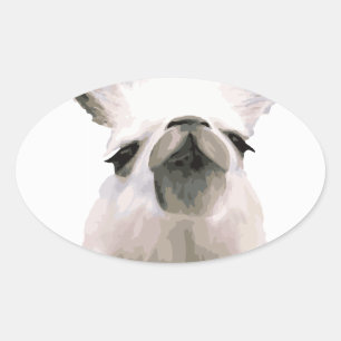 Sticker Ovale Snooty Snobby Llama personnalisé