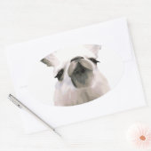 Sticker Ovale Snooty Snobby Llama personnalisé (Enveloppe)