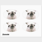 Sticker Ovale Snooty Snobby Llama personnalisé (Feuille)