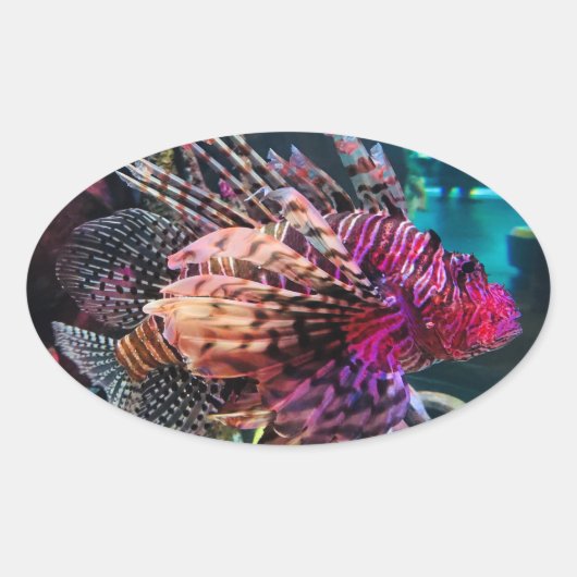 Sticker Ovale Spectaculaire poisson-lion (Devant)