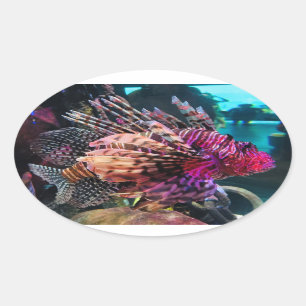 Sticker Ovale Spectaculaire poisson-lion