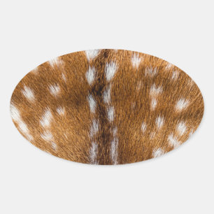 Sticker Ovale Spotted deer pour texture