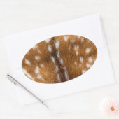 Sticker Ovale Spotted deer pour texture (Enveloppe)