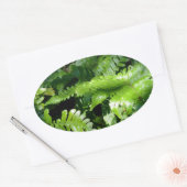 Sticker Ovale Spring Green Ferns végétation botanique tropicale (Enveloppe)