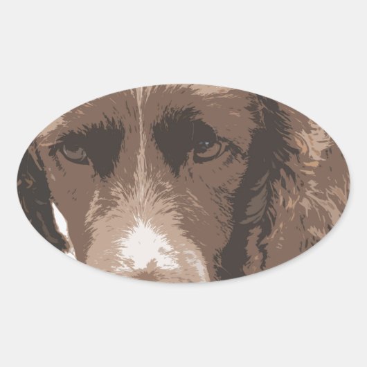 Sticker Ovale Springer anglais (Devant)