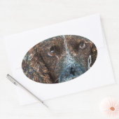 Sticker Ovale Springer anglais (Enveloppe)