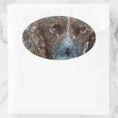 Sticker Ovale Springer anglais (Sac)