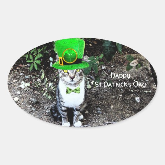 STICKER OVALE ST PATRICK'S DAY CHAT AVEC LE CASQUETTE LEPRECHAUN (Devant)