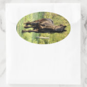 Sticker Ovale Stallion noir (Sac)