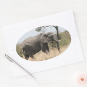 Sticker Ovale stand d'éléphants (Enveloppe)