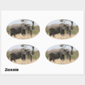 Sticker Ovale stand d'éléphants (Feuille)