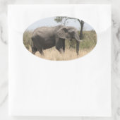 Sticker Ovale stand d'éléphants (Sac)