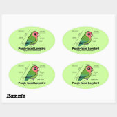 Sticker Ovale statistiques Pêche-faites face de perruche (Feuille)