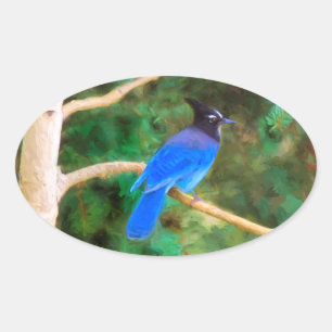 Sticker Ovale Steller's Jay Painting - Art original pour oiseaux