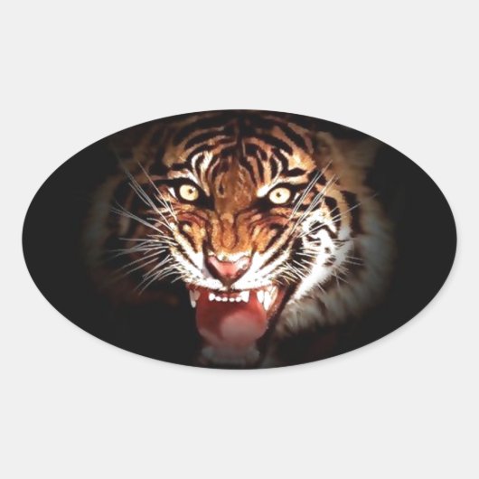 Sticker Ovale Sumatran Tiger (Devant)