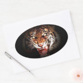 Sticker Ovale Sumatran Tiger (Enveloppe)