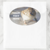 Sticker Ovale Survie De La Fittest (Sac)