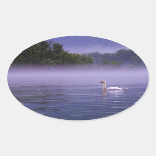 Sticker Ovale Swan sur le lac