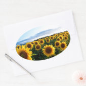 Sticker Ovale Terrain de tournesol (Enveloppe)