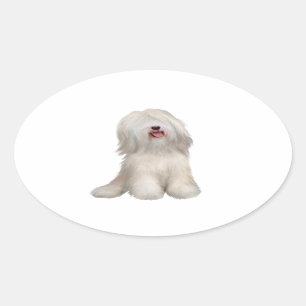 Sticker Ovale Terrier Tibétain (blanc)