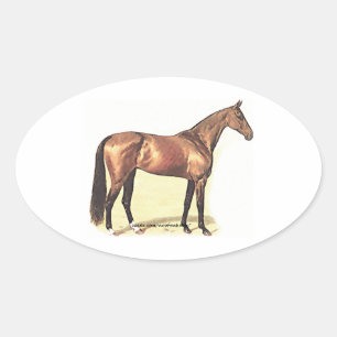 Sticker Ovale Thoroughbred