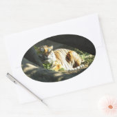 Sticker Ovale Tiger Catnap (Enveloppe)