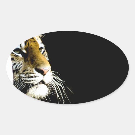 Sticker Ovale Tigre (Devant)