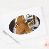 Sticker Ovale Tigre (Enveloppe)