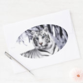 Sticker Ovale TigreBlanc (Enveloppe)