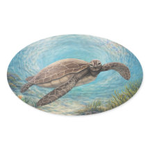 Tortue de mer dans un vortex océanique