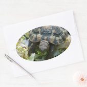 Sticker Ovale Tortue mignonne (Enveloppe)