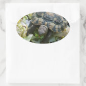 Sticker Ovale Tortue mignonne (Sac)