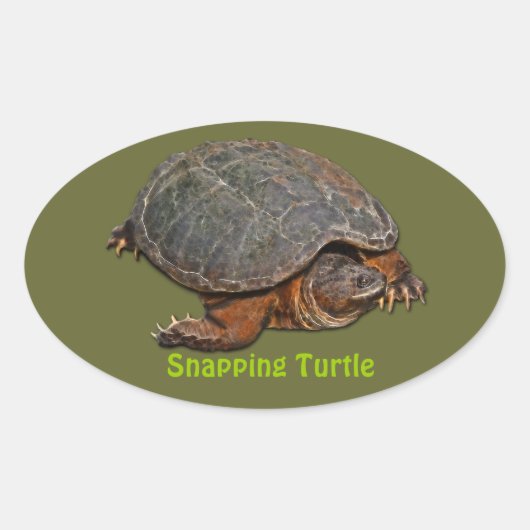Sticker Ovale Tortue serpentine Terrapin-lover Cadeau (Devant)