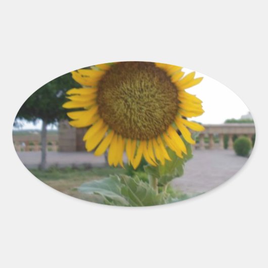 Sticker Ovale Tournesol (Devant)