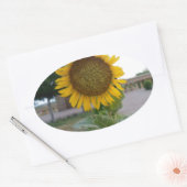 Sticker Ovale Tournesol (Enveloppe)