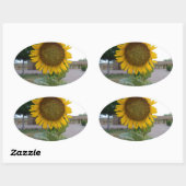 Sticker Ovale Tournesol (Feuille)