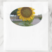 Sticker Ovale Tournesol (Sac)