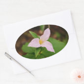 Sticker Ovale Trillium Flower (Enveloppe)