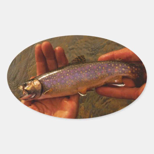 Sticker Ovale Trout à Hands (Devant)