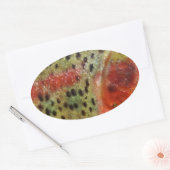 Sticker Ovale Trout à Hands (Enveloppe)