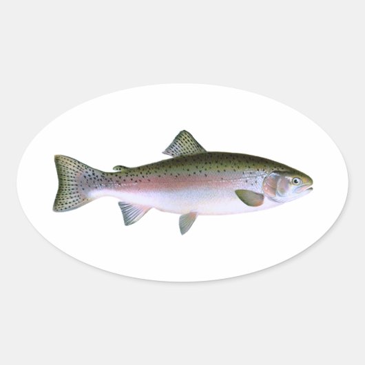 Sticker Ovale Truite arc-en-ciel (Devant)
