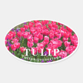 Sticker Ovale Tulip (Devant)