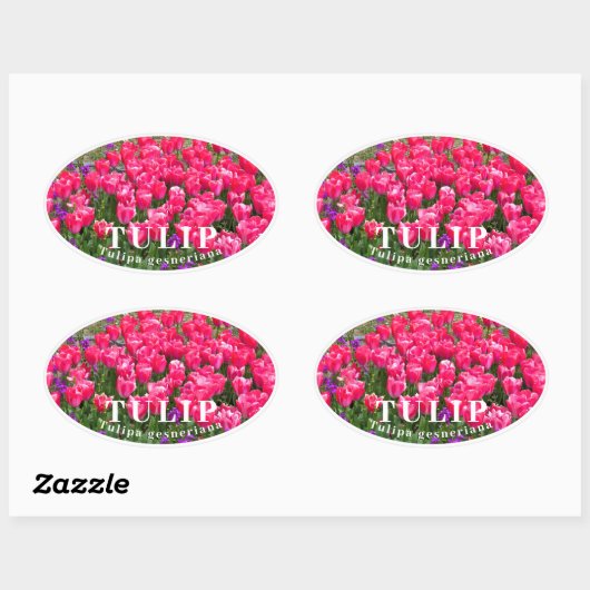 Sticker Ovale Tulip (Feuille)